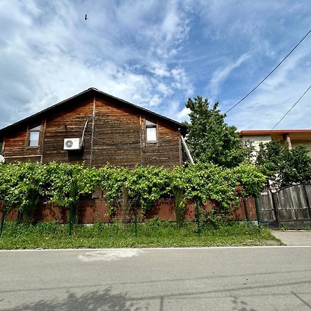❆Cozy, 4 Br. Villa In Ananuri❆ 外观 照片