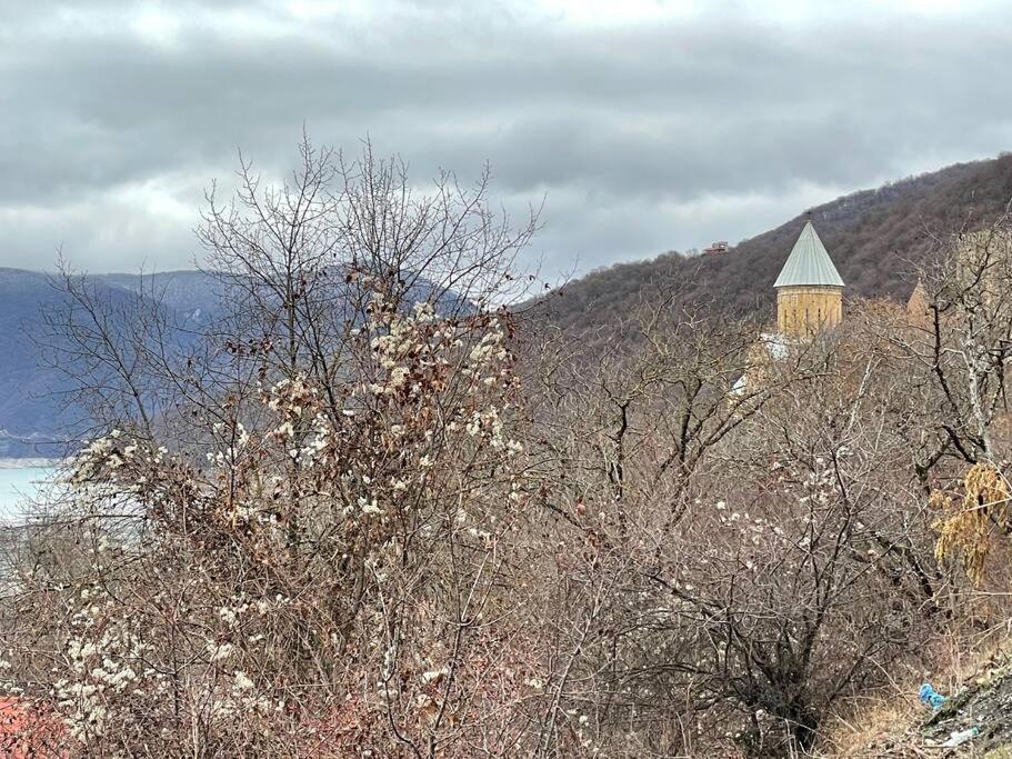 ❆Cozy, 4 Br. Villa In Ananuri❆ 外观 照片